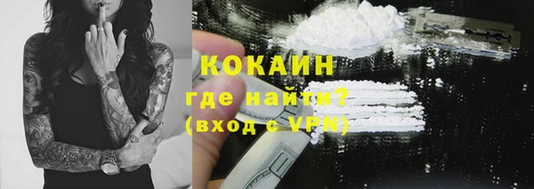 прущие грибы Михайлов