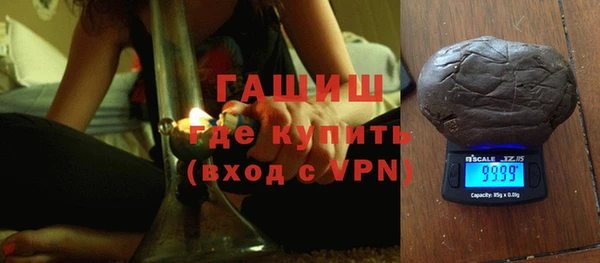 прущие грибы Михайлов
