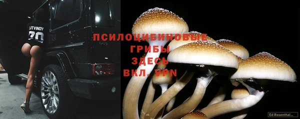 кристаллы Алексин