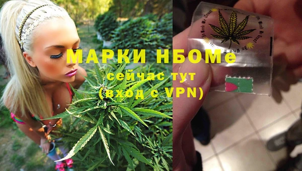 прущие грибы Михайлов