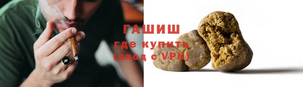 прущие грибы Михайлов