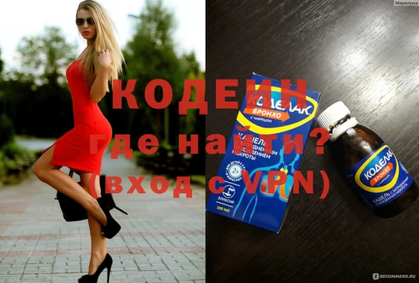 прущие грибы Михайлов