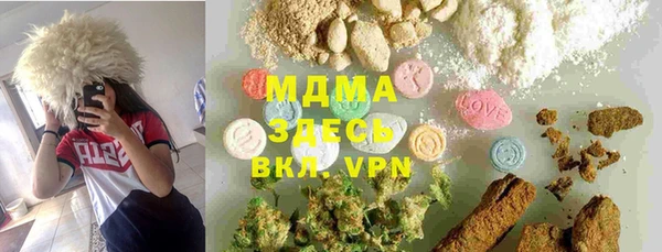 прущие грибы Михайлов