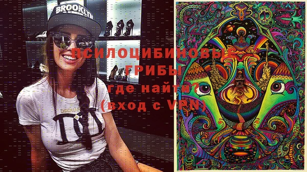 индика Одинцово