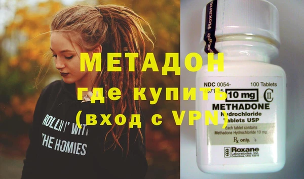 прущие грибы Михайлов