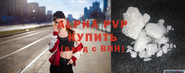 прущие грибы Михайлов