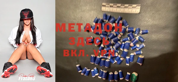 прущие грибы Михайлов