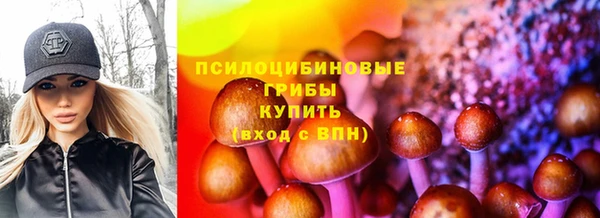 PSILOCYBIN Костерёво